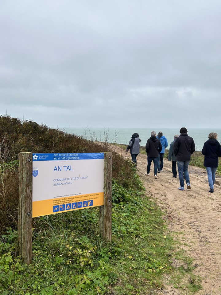 Visite | À la découverte de l'Île de Houat 